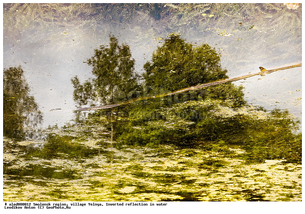 ���������� �������, �������, �����,���������, ����