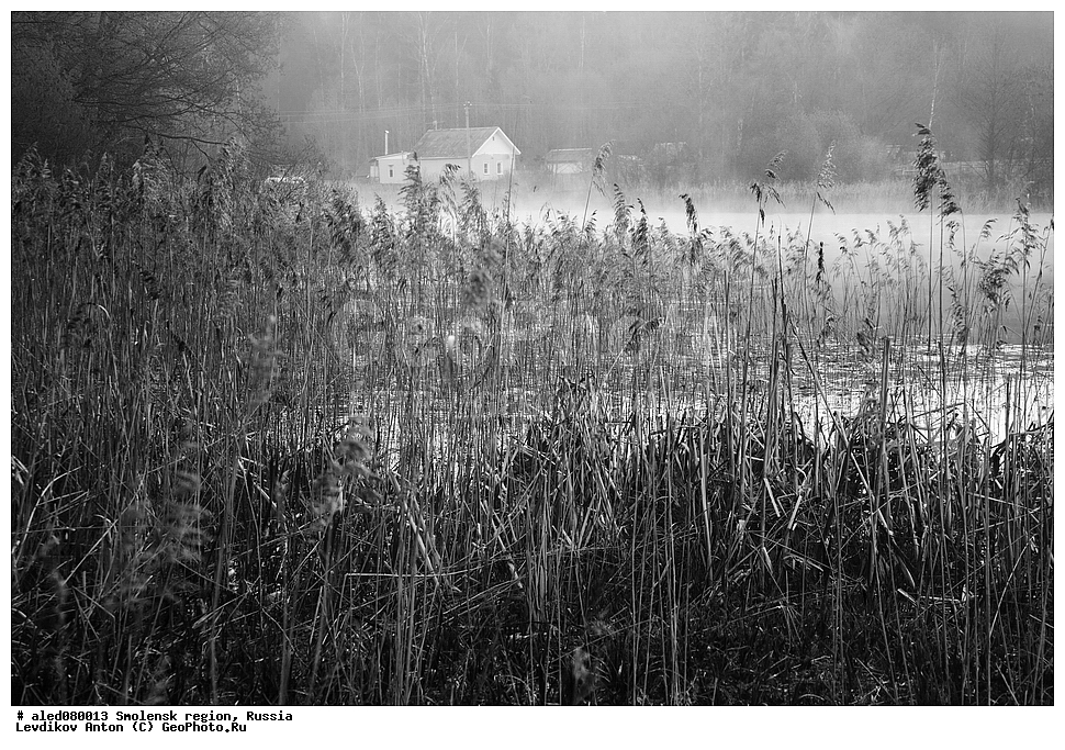  ���������� �������, ������