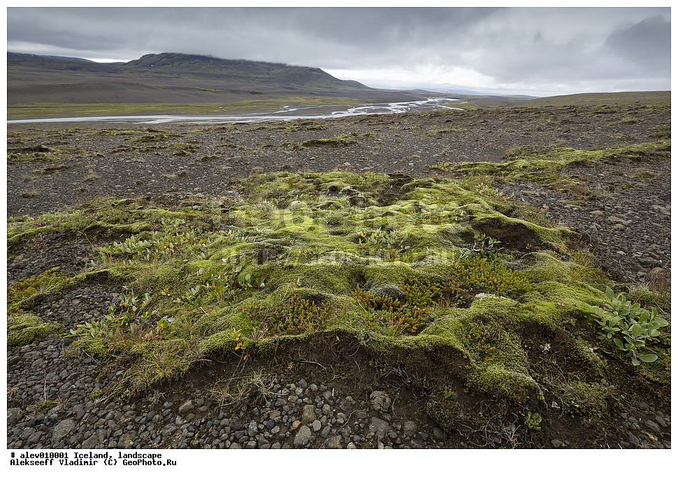 ��������, ������