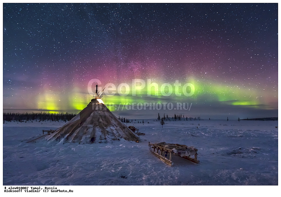 ����, ������