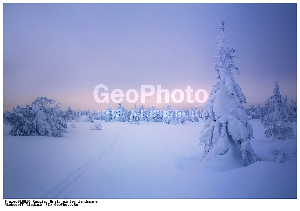 ������, ����, ����, ������