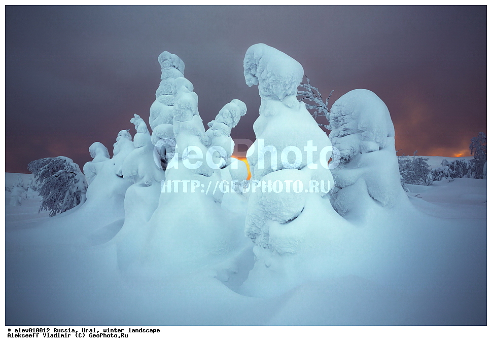 ������, ����, ����, ������