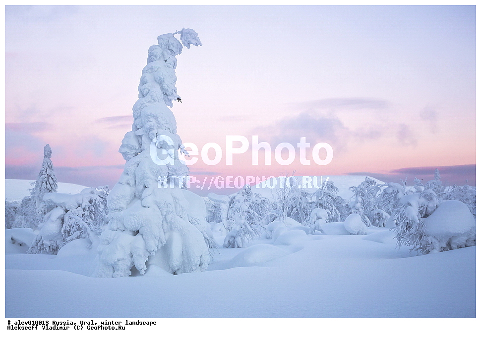 ������, ����, ����, ������