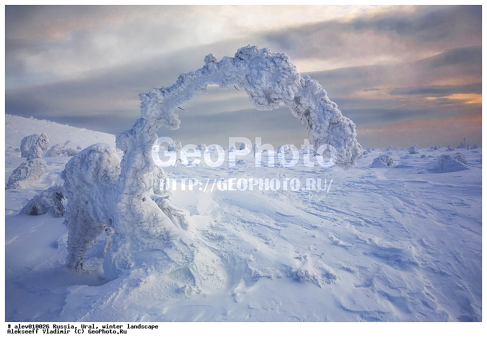 ������, ����, ����, ������