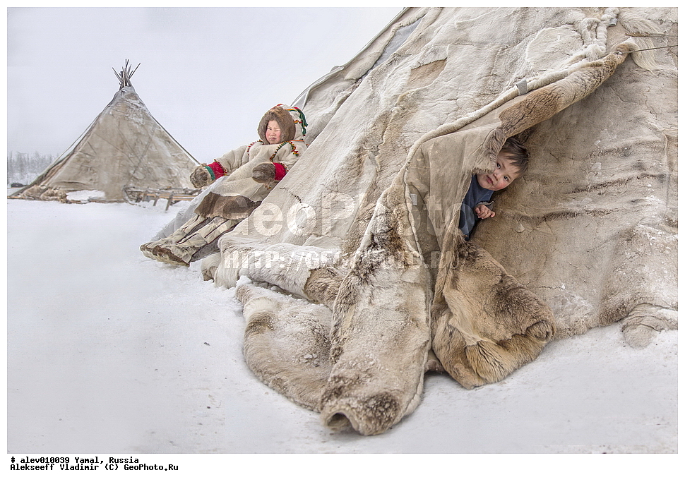 ����, ������