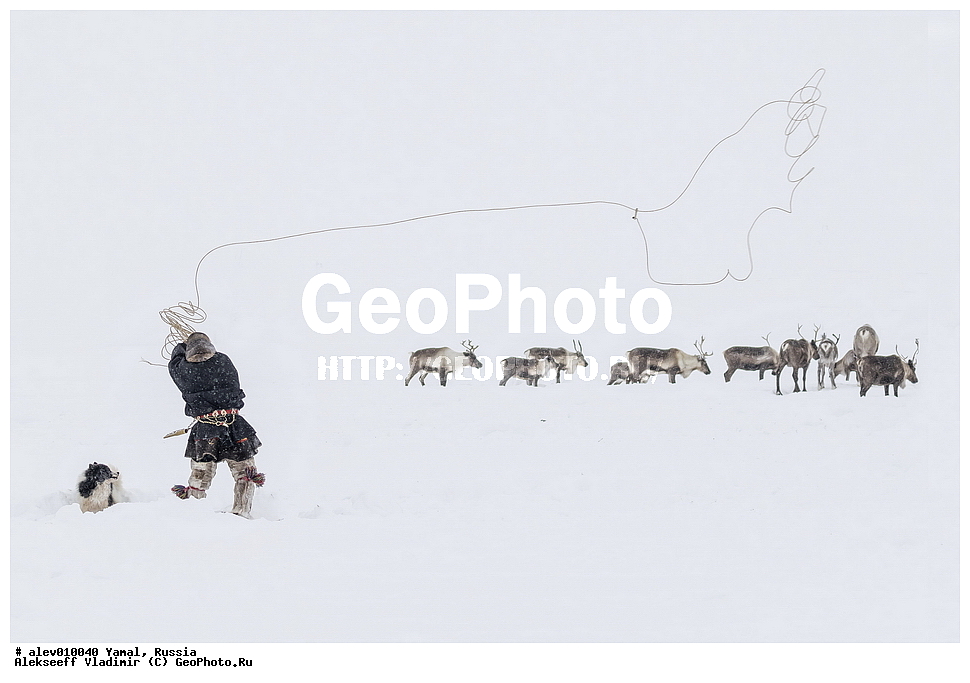 ����, ������