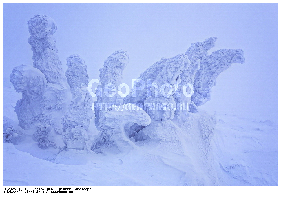 ������, ����, ����, ������