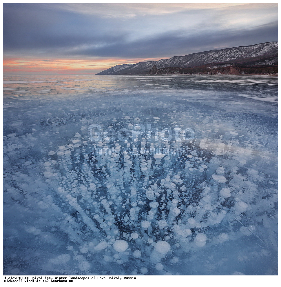 ������, ���, ����, ������