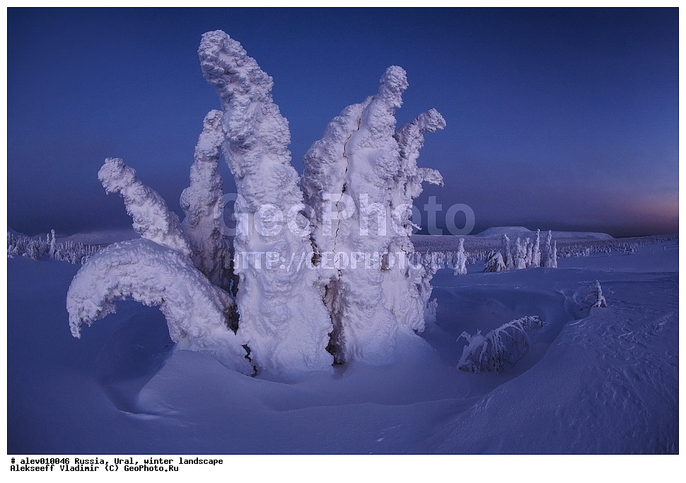 ������, ����, ����, ������