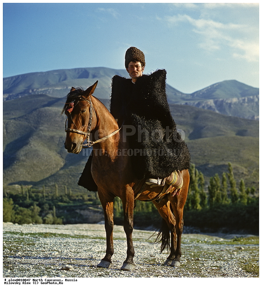 �����, ��������, ���������� ��������, ������, �������� ������