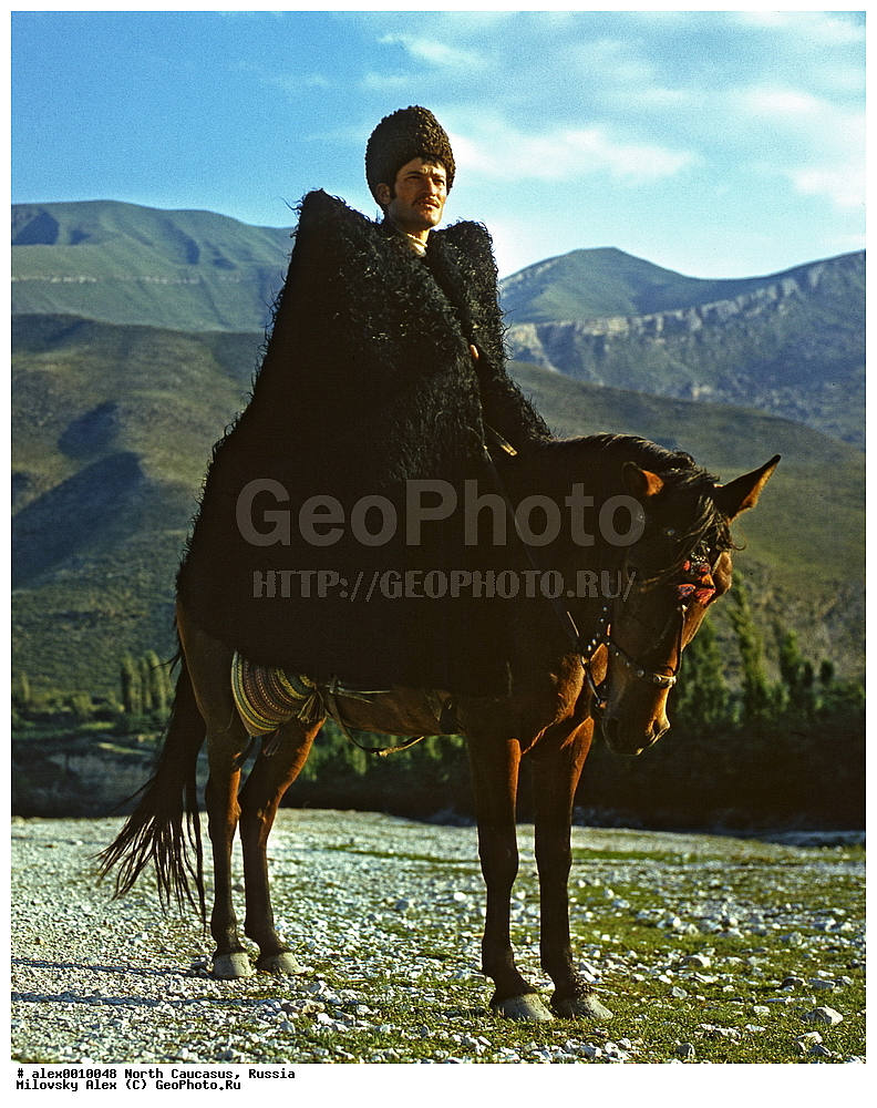 �����, ��������, ���������� ��������, ������, �������� ������