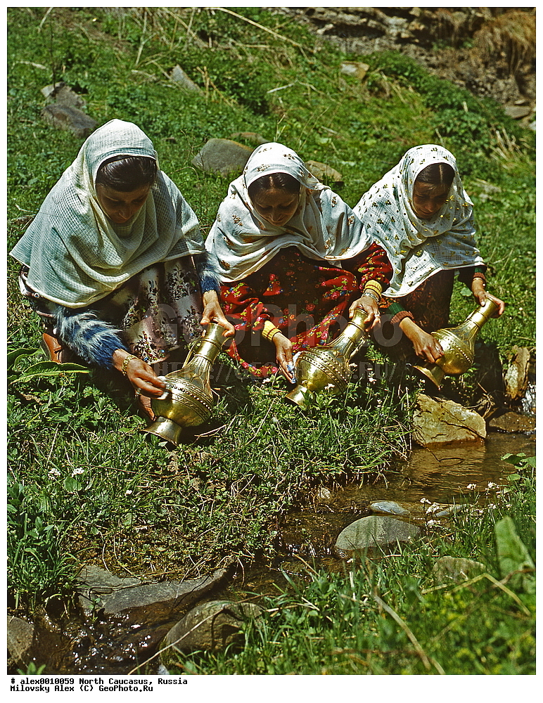 �������� ��������� ����,������, ��������, ���������� ��������, �������� ������, ������, ������