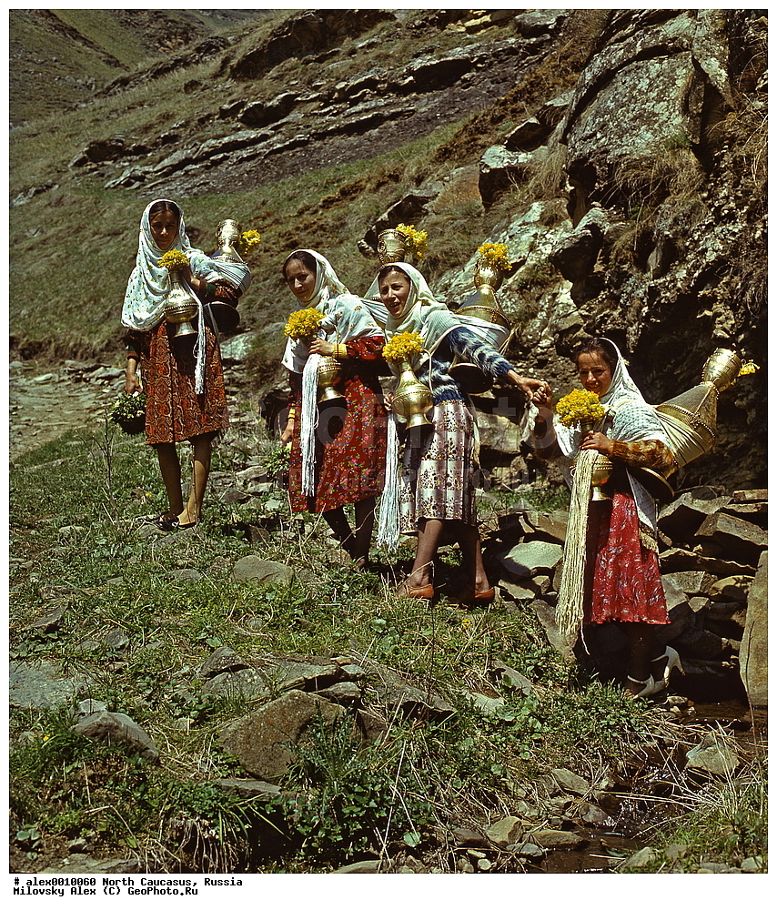 �������� ��������� ����,������, ��������, ���������� ��������, �������� ������, ������, ������