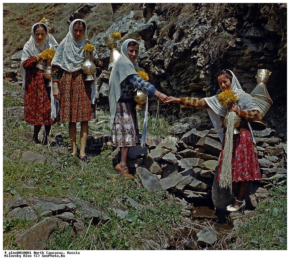 �������� ��������� ����,������, ��������, ���������� ��������, �������� ������, ������, ������