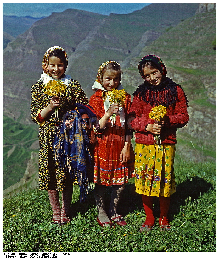 �������� ��������� ����,������, ��������, ���������� ��������, �������� ������, ������, ������