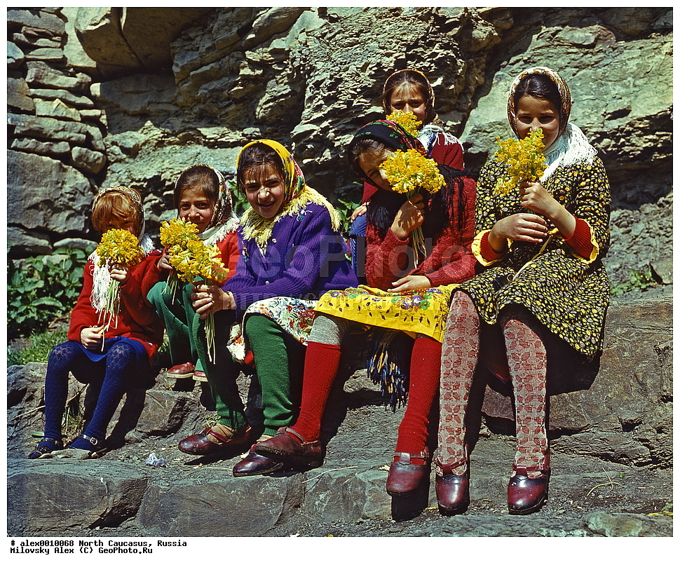 �������� ��������� ����,������, ��������, ���������� ��������, �������� ������, ������, ������