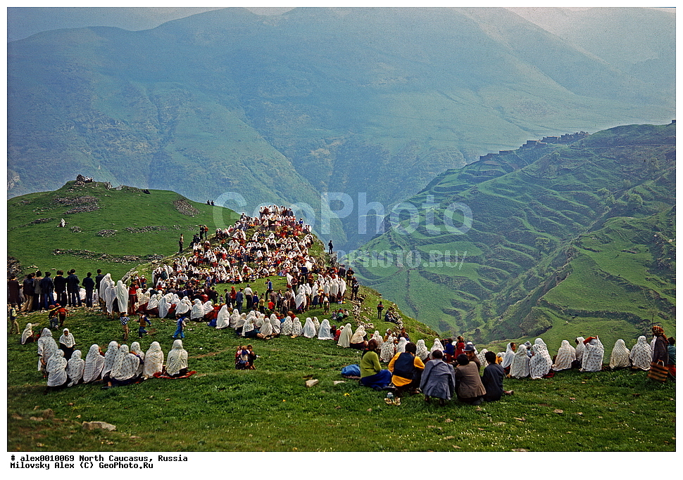 �������� ��������� ����,������, ��������, ���������� ��������, �������� ������, ������, ������