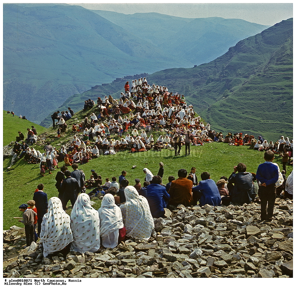 �������� ��������� ����,������, ��������, ���������� ��������, �������� ������, ������, ������