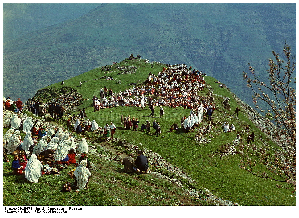 �������� ��������� ����,������, ��������, ���������� ��������, �������� ������, ������, ������