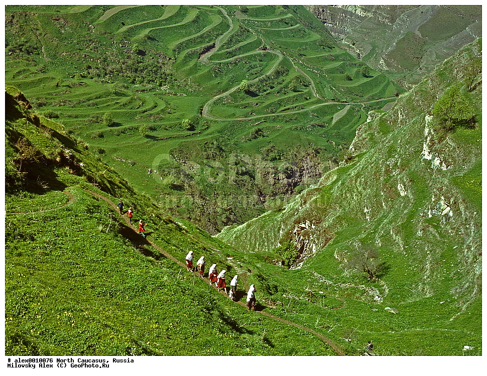 �������� ��������� ����,������, ��������, ���������� ��������, �������� ������, ������, ������