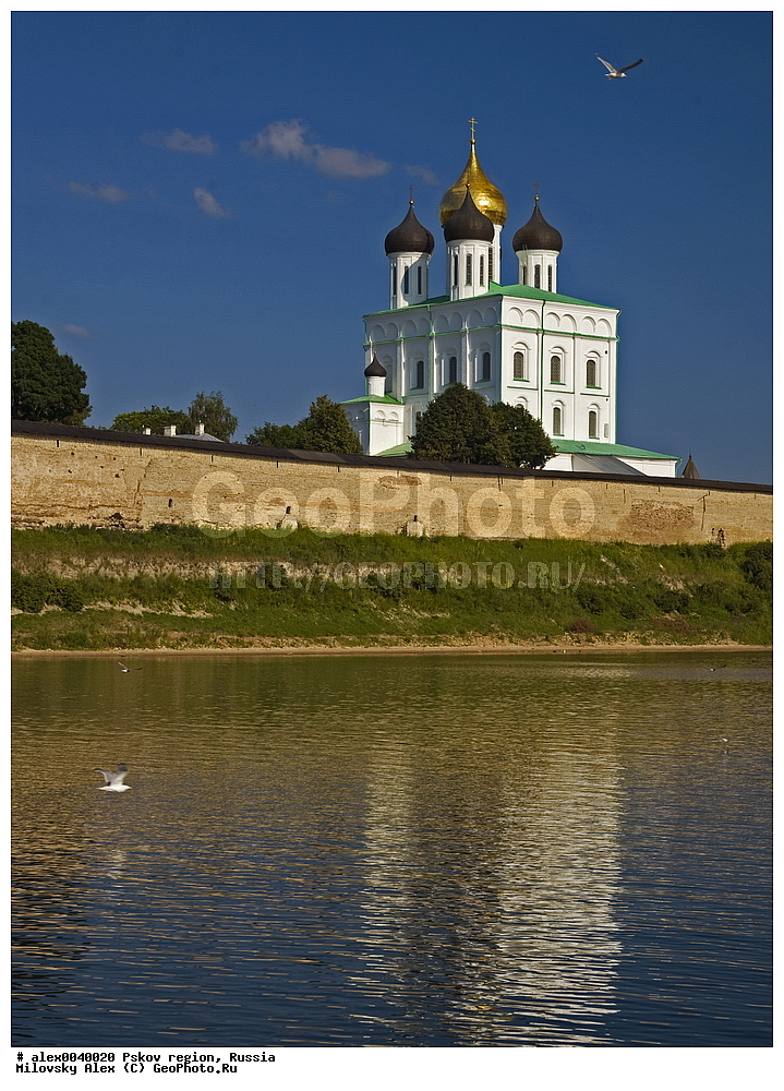 ������, �����, ��������� �������, ������-�������� ������, ������-�������� ����������� �����, ������