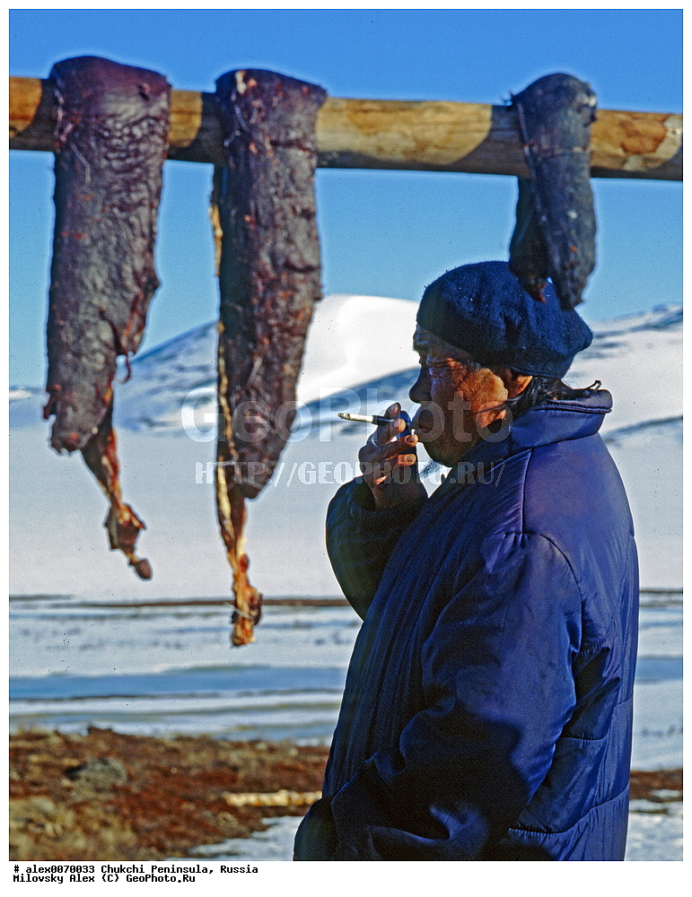 ���������, ����, ������, �����, ��������� ����������, �������, ��������, ���������, �����, �����, ���������, ��������� ���������� �����, ��������� ��, ��������� ����, ��������� ����, �������, ��������, ����������, ������