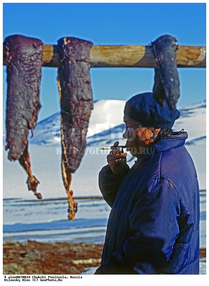 ���������, ����, ������, �����, ��������� ����������, �������, ��������, ���������, �����, �����, ���������, ��������� ���������� �����, ��������� ��, ��������� ����, ��������� ����, �������, ��������, ����������, ������