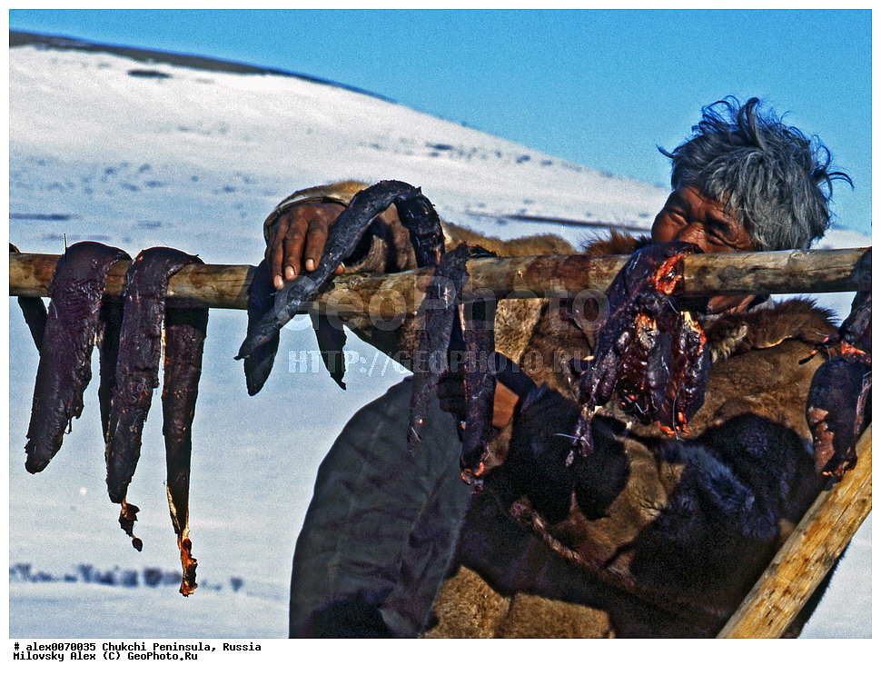 ���������, ����, ������, �����, ��������� ����������, �������, ��������, ���������, �����, �����, ���������, ��������� ���������� �����, ��������� ��, ��������� ����, ��������� ����, �������, ��������, ����������, ������