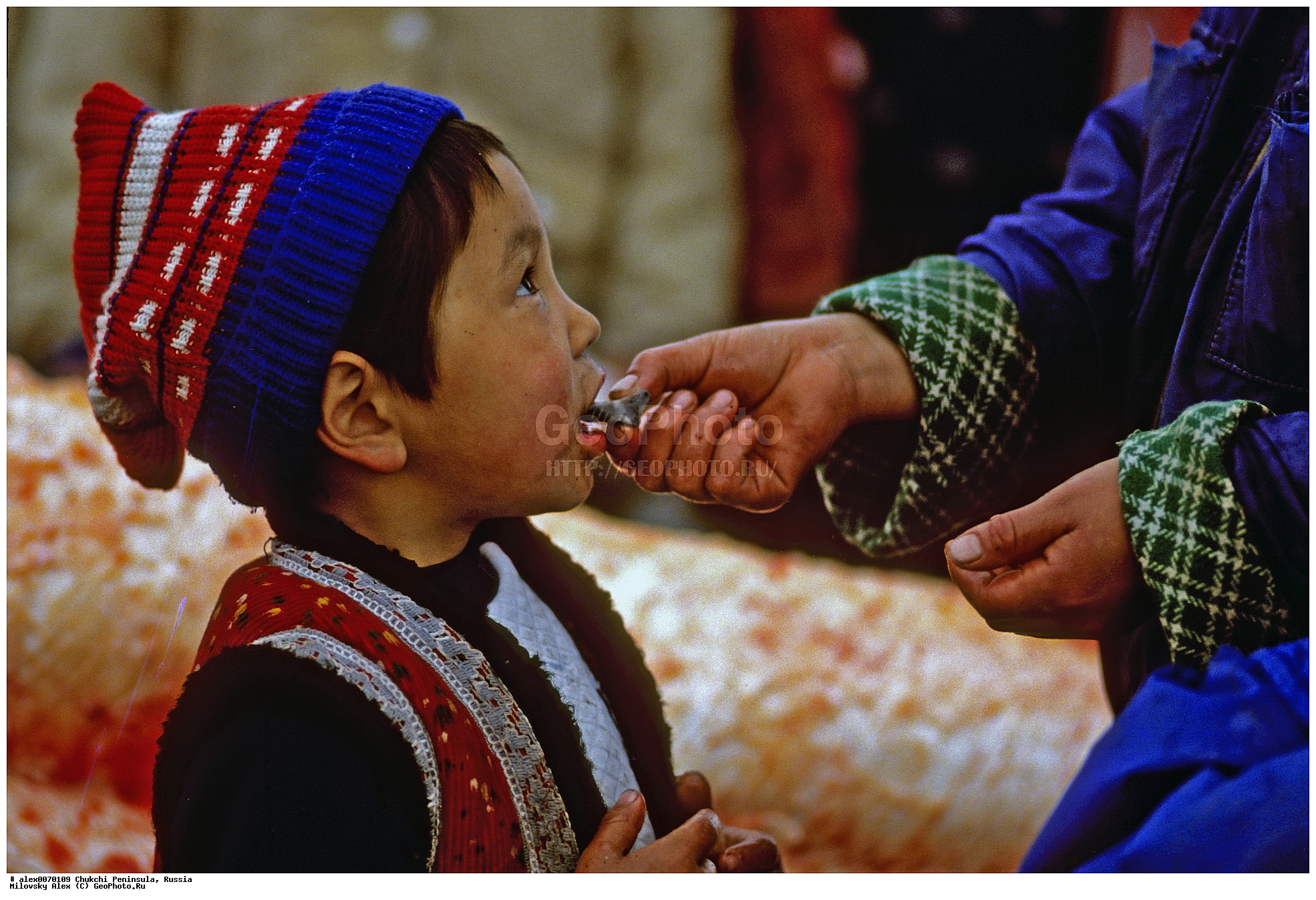 ������, ���, ���, ��������, ��������� ����������, �������, ��������, ���������, �����, �����, ���������, ��������� ���������� �����, ��������� ��, ��������� ����, ��������� ����, �������, ��������, ����������, ������, ��������, ��������, ������� �������������, ������� �������������, ������� �����, ������� �����, XYZ, ����� ����, Eschrichtiidae, ����� ���, �������������� ���, Eschrichtius robustus, Eschrichtius gibbosus