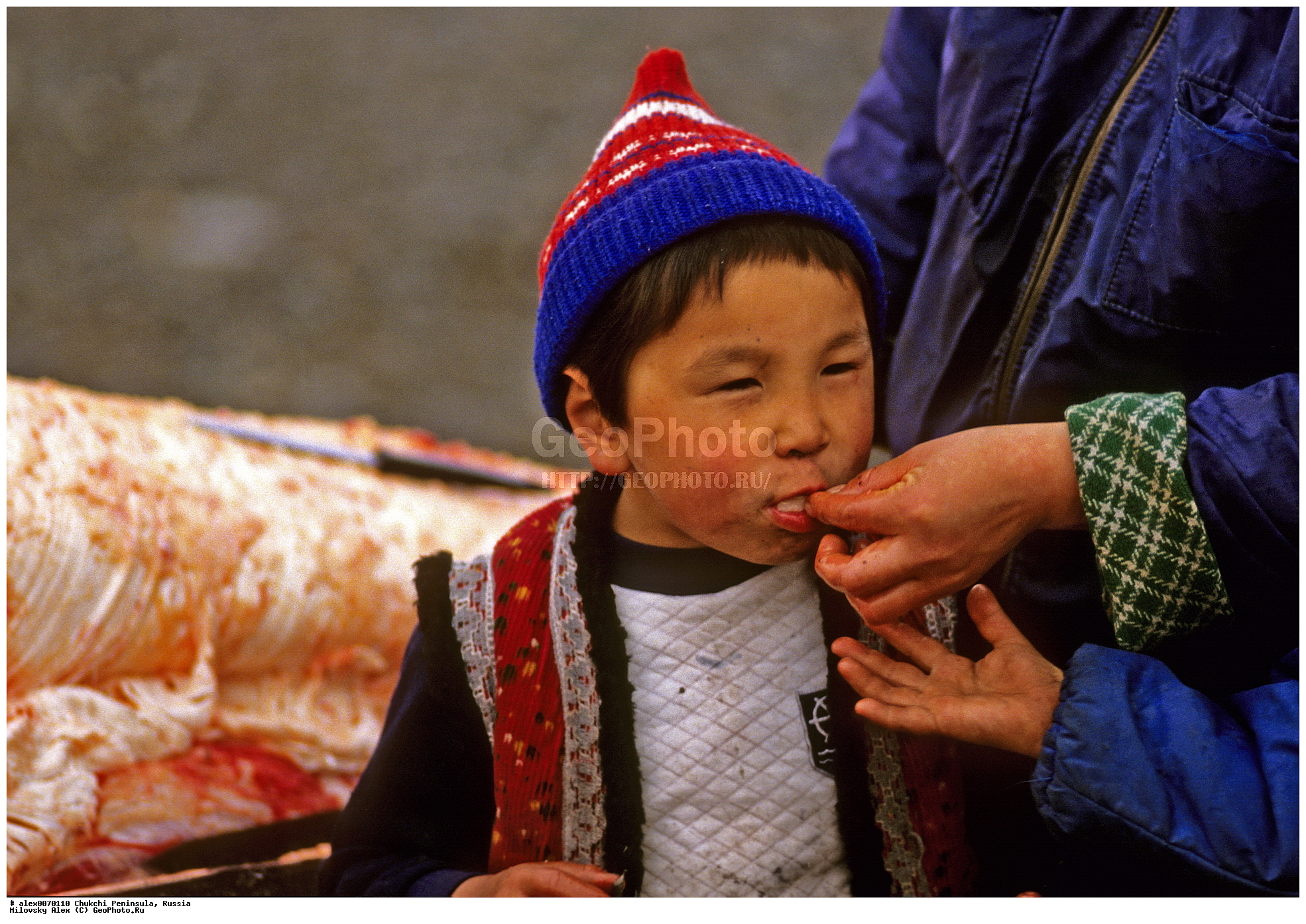 ������, ���, ���, ��������, ��������� ����������, �������, ��������, ���������, �����, �����, ���������, ��������� ���������� �����, ��������� ��, ��������� ����, ��������� ����, �������, ��������, ����������, ������, ��������, ��������, ������� �������������, ������� �������������, ������� �����, ������� �����, XYZ, ����� ����, Eschrichtiidae, ����� ���, �������������� ���, Eschrichtius robustus, Eschrichtius gibbosus