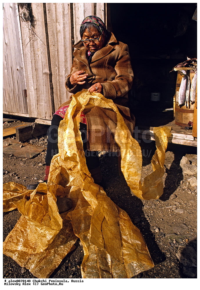 ���������, �������, ��������, ��������� ����������, �������, ��������, ���������, �����, �����, ���������, ��������� ���������� �����, ��������� ��, ��������� ����, ��������� ����, �������, ��������, ����������, ������