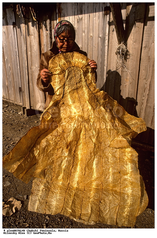 ���������, �������, ��������, ��������� ����������, �������, ��������, ���������, �����, �����, ���������, ��������� ���������� �����, ��������� ��, ��������� ����, ��������� ����, �������, ��������, ����������, ������