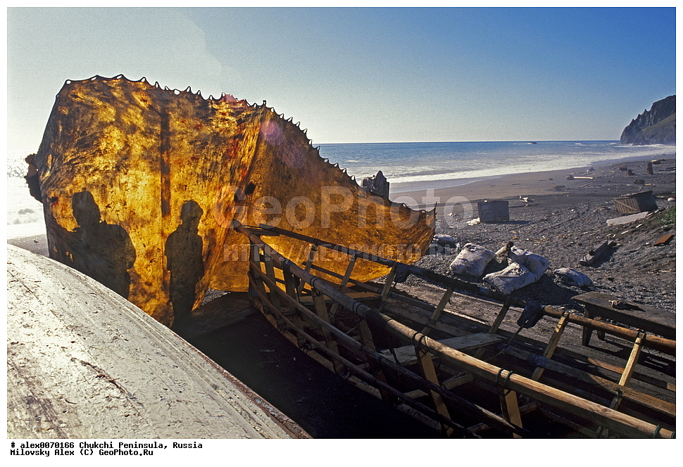 �������, ��������, ��������, ��������� ����������, �������, ��������, ���������, �����, �����, ���������, ��������� ���������� �����, ��������� ��, ��������� ����, ��������� ����, �������, ��������, ����������, ������