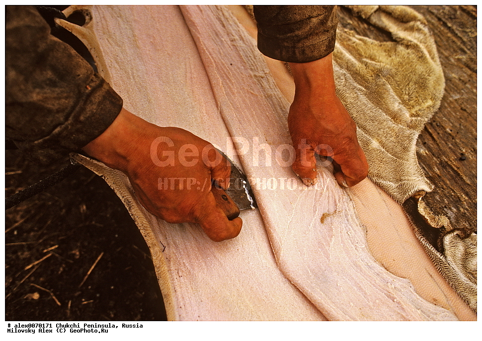 �������, ��������, ��������, ��������� ����������, �������, ��������, ���������, �����, �����, ���������, ��������� ���������� �����, ��������� ��, ��������� ����, ��������� ����, �������, ��������, ����������, ������