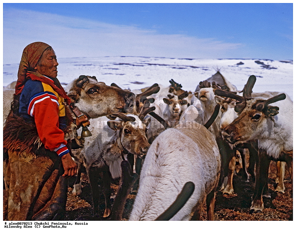 ���������, ����, ������, �����, ��������� ����������, �������, ��������, ���������, �����, �����, ���������, ��������� ���������� �����, ��������� ��, ��������� ����, ��������� ����, �������, ��������, ����������, ������