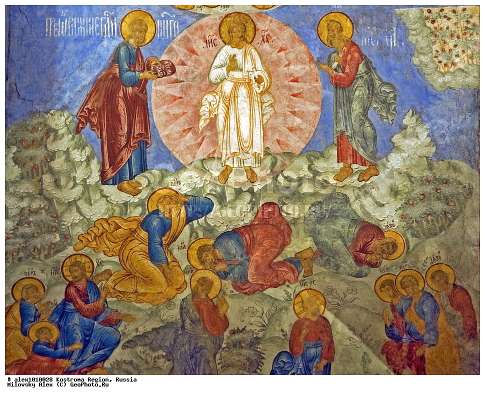 ������, ����� �������, �������� �����, ����� ������ �������������, ������������� �����, �����-�������� �����, �����-�������� ����������� ���������, �������� ����������� ������� ���������, ����������� ���������, ��������, ����������� �������, ������� ������ ������, ������, ������, ����, �������, �����, �������, ������������, ������������� ���������