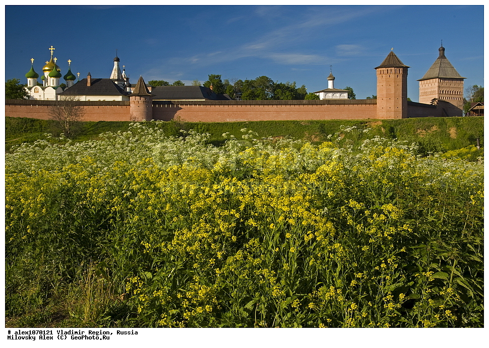 �����, �����, �����������, ����, �������, �����, �������, ������������, ������������� ���������, �������, ������������, ������, ������������ �������, ������� ������ ������, ������, �����-�������� ���������