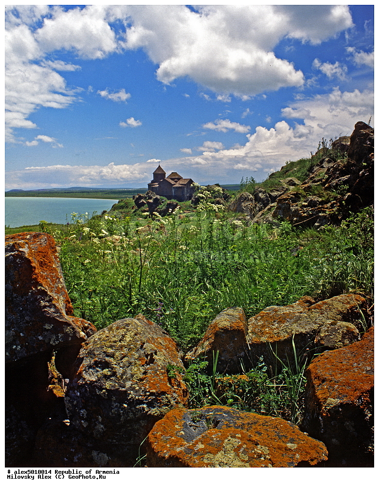  ����� ������, ����������, ���������� �������