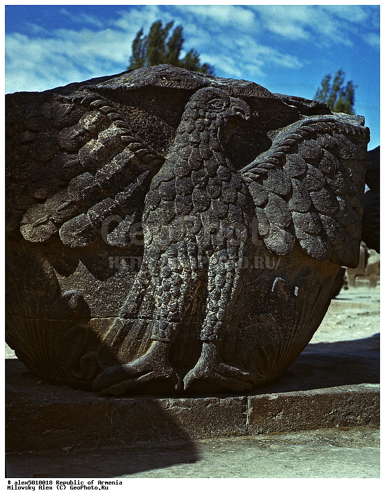  ����� ������, ����������, ���������� �������