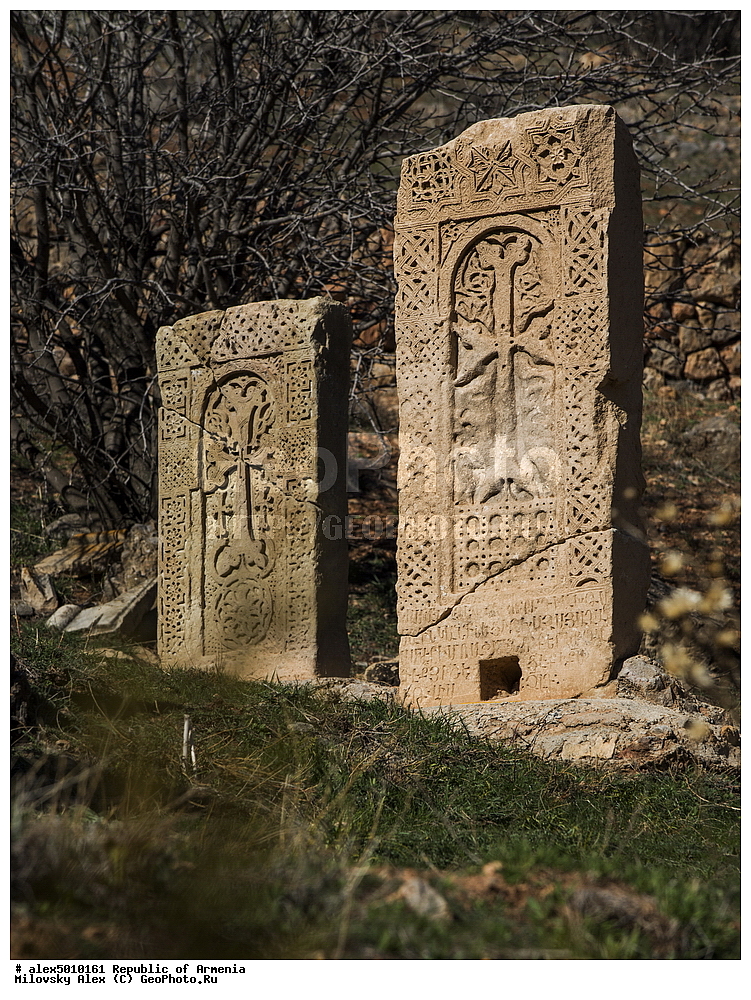 ��������, �����������, �����, �������, ����, ������������, �������, ����� ������, ����������, ���������� �������