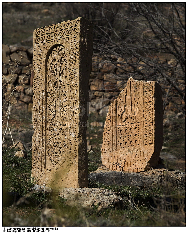 ��������, �����������, �����, �������, ����, ������������, �������, ����� ������, ����������, ���������� �������