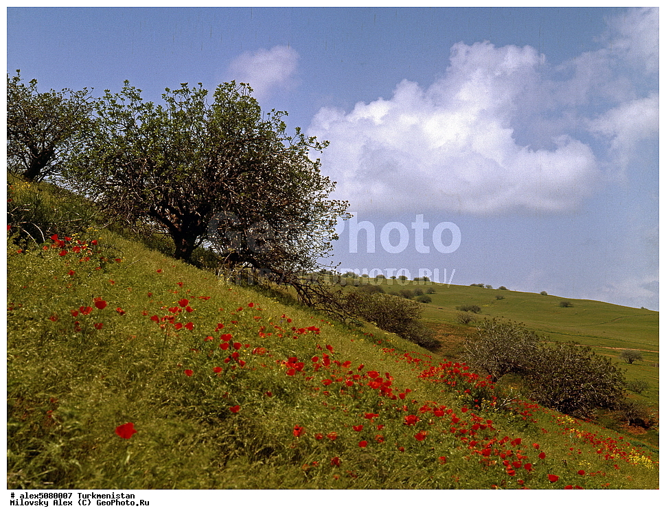 ���������, ������������, ������� ����, ����������� ����