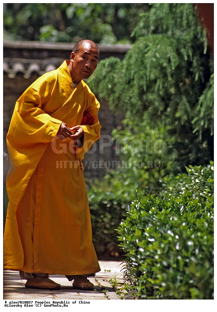 �������, ���������� ���������, �����, ��������� �������� ����������, ���