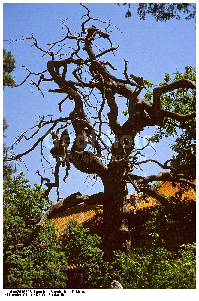 ������ ������������� ������, ������ ������, �����, �����, ��������� �������� ����������, ���