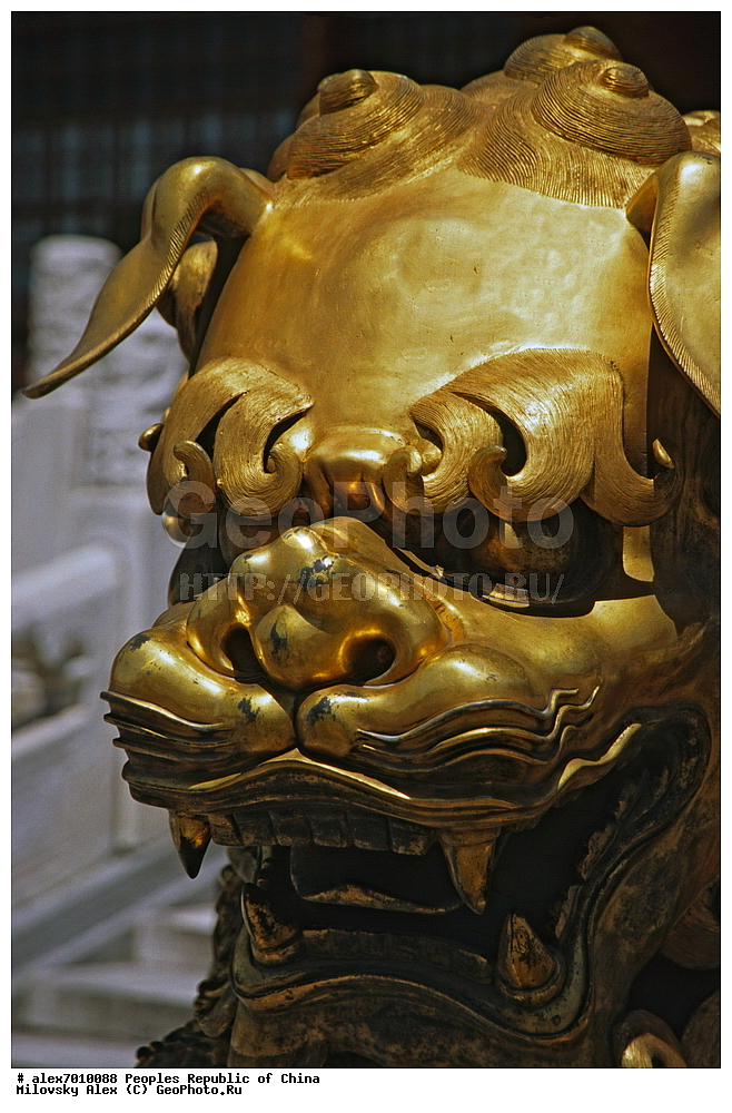  ��������� �����, �����, �����, ��������� �������� ����������, ���