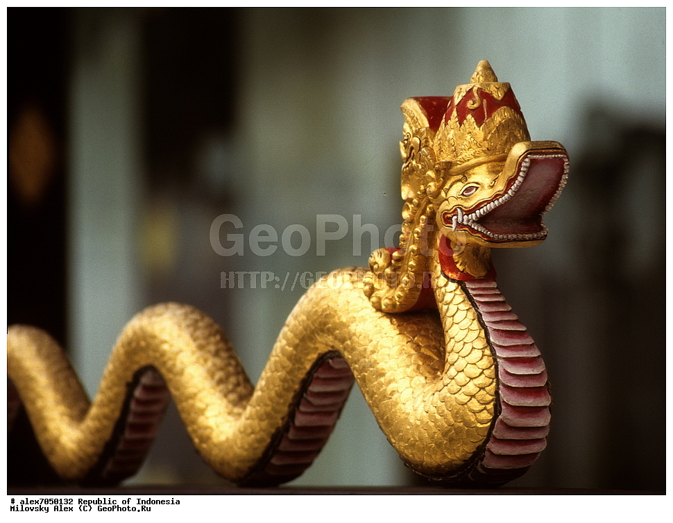  �����������, ���, ���������, ���������� ������́��