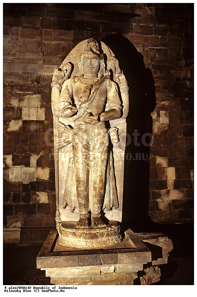 ���������, ���, ���������, ���������� ������́��