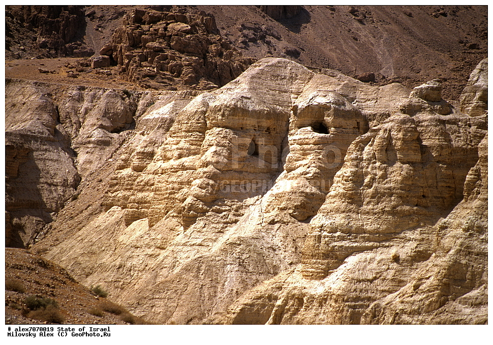 �������, ̸����� ����, �������, ����������� �������