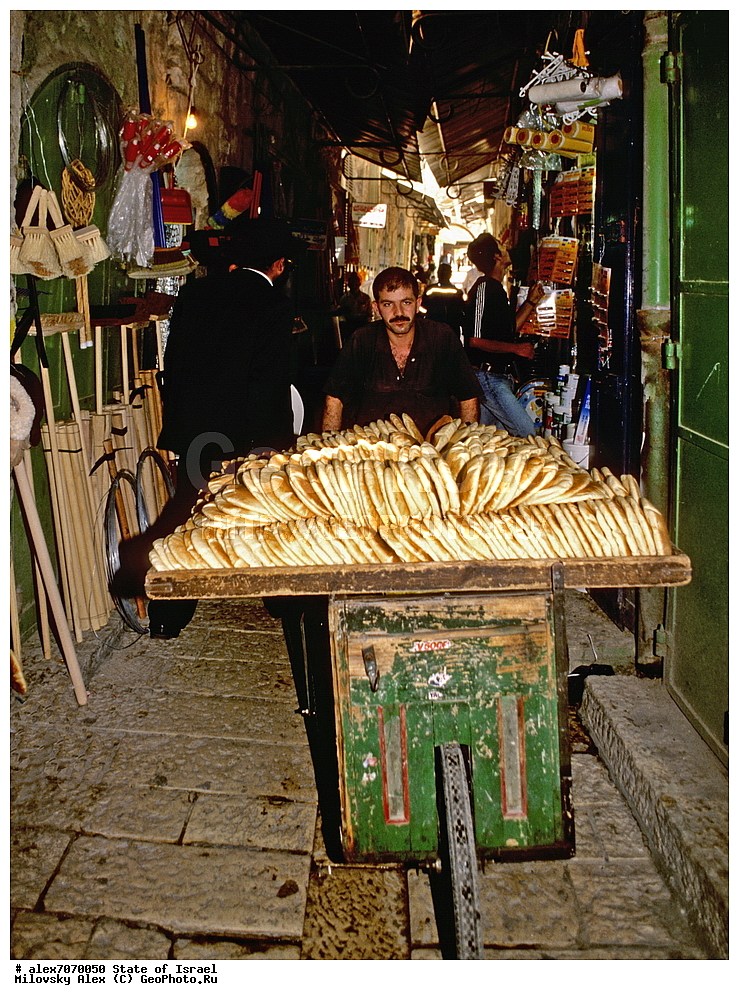 ����������, �������� �����, ���������, �������, ����������� �������