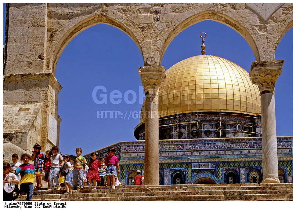 ����� ����� (������ �����), ����������, ���������, �������, ����������� �������